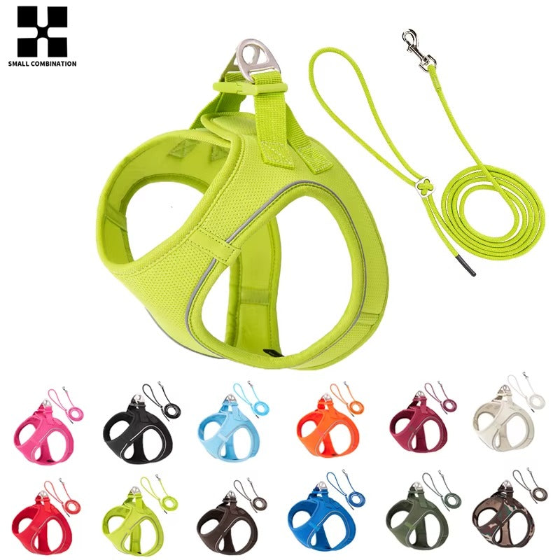 Set de Paseo Ergonómico – Comfort Fit