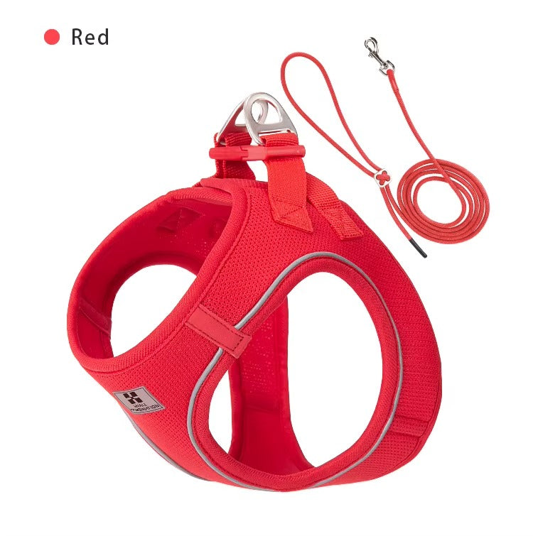Set de Paseo Ergonómico – Comfort Fit