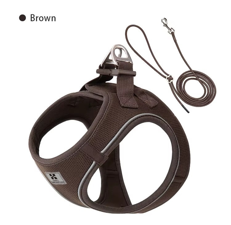 Set de Paseo Ergonómico – Comfort Fit