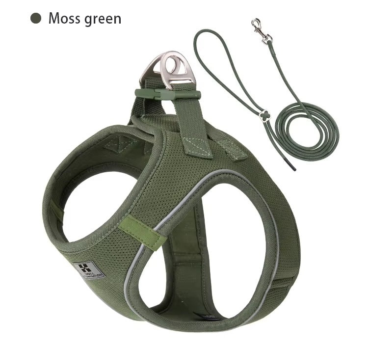 Set de Paseo Ergonómico – Comfort Fit