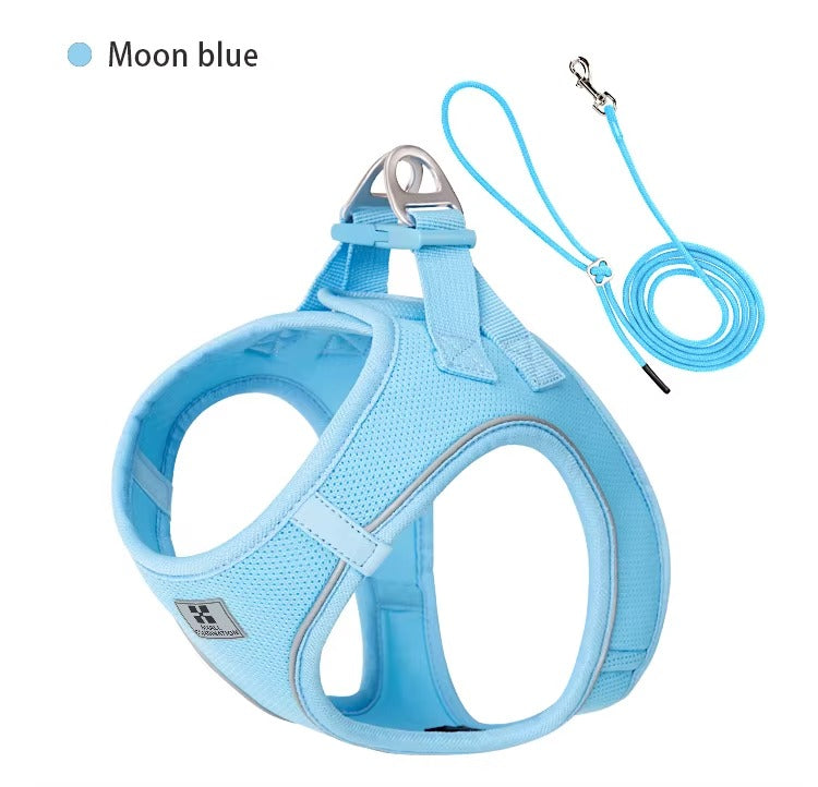 Set de Paseo Ergonómico – Comfort Fit