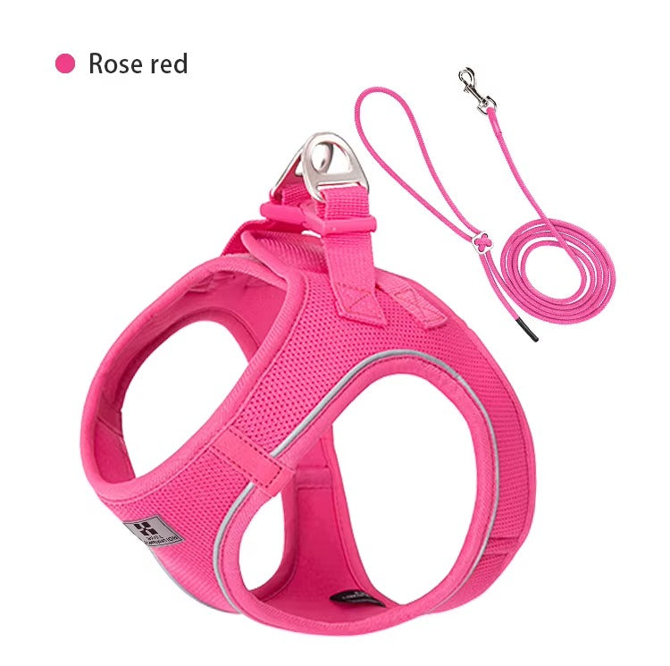 Set de Paseo Ergonómico – Comfort Fit