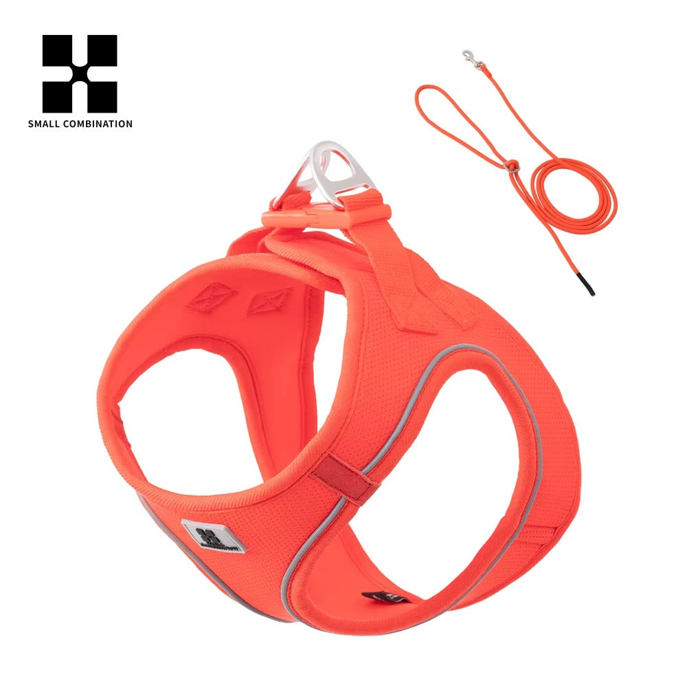 Set de Paseo Ergonómico – Comfort Fit