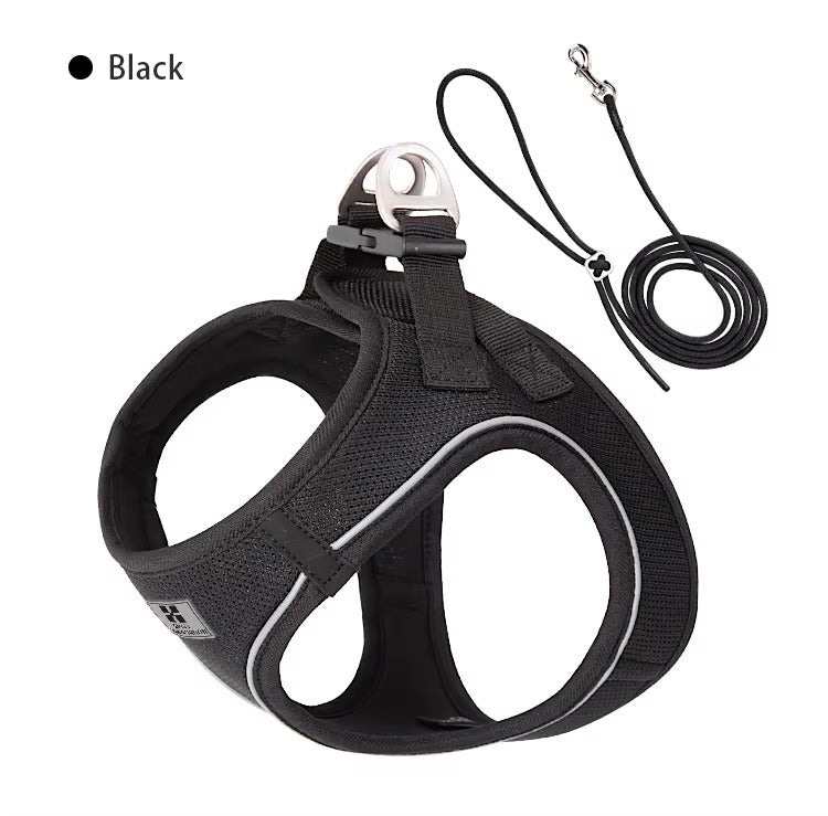 Set de Paseo Ergonómico – Comfort Fit
